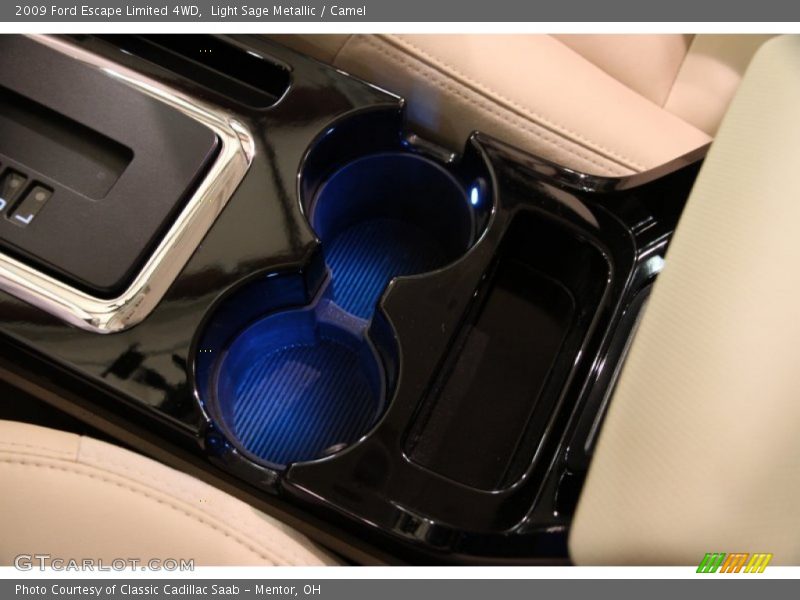 Light Sage Metallic / Camel 2009 Ford Escape Limited 4WD