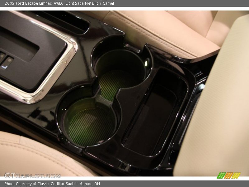 Light Sage Metallic / Camel 2009 Ford Escape Limited 4WD