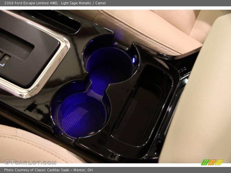 Light Sage Metallic / Camel 2009 Ford Escape Limited 4WD