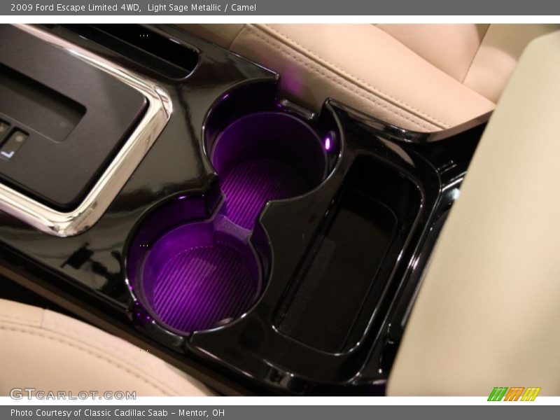 Light Sage Metallic / Camel 2009 Ford Escape Limited 4WD