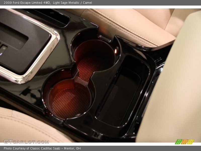 Light Sage Metallic / Camel 2009 Ford Escape Limited 4WD