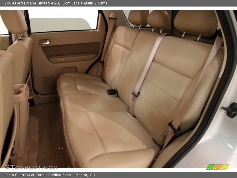 Light Sage Metallic / Camel 2009 Ford Escape Limited 4WD