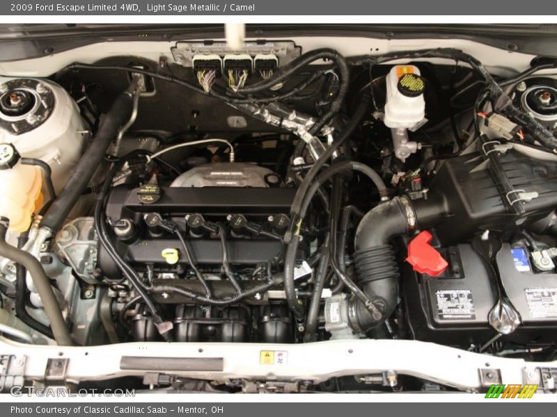 Light Sage Metallic / Camel 2009 Ford Escape Limited 4WD