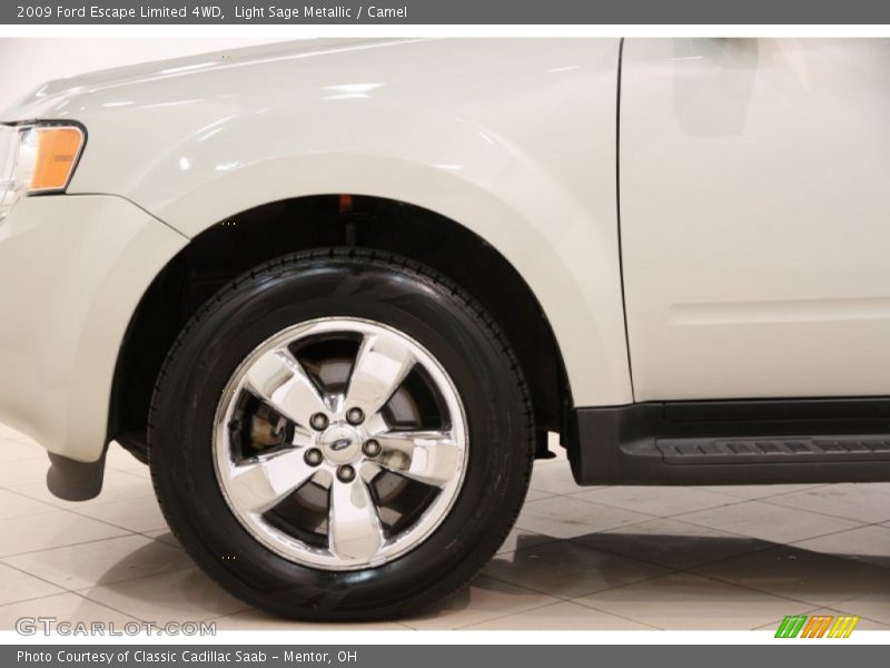 Light Sage Metallic / Camel 2009 Ford Escape Limited 4WD