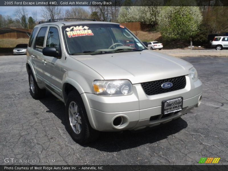 Gold Ash Metallic / Ebony Black 2005 Ford Escape Limited 4WD