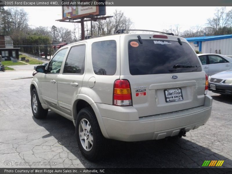 Gold Ash Metallic / Ebony Black 2005 Ford Escape Limited 4WD