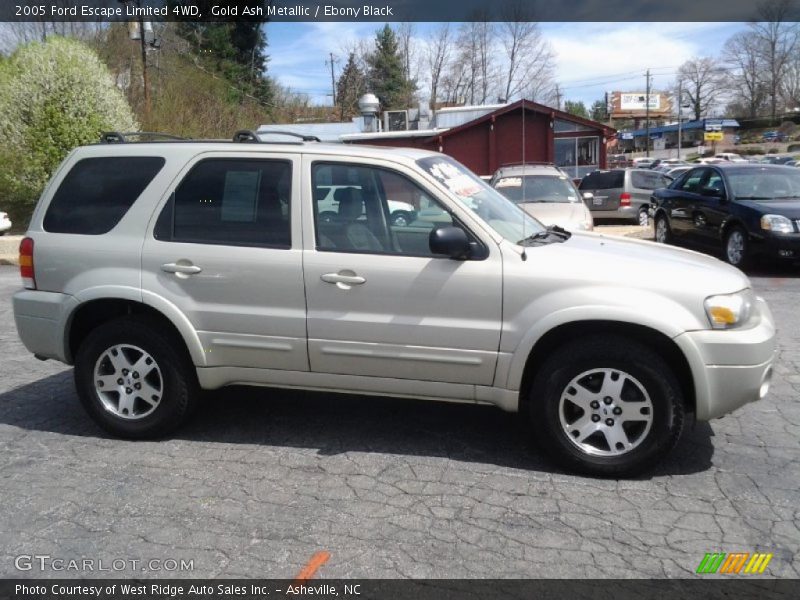 Gold Ash Metallic / Ebony Black 2005 Ford Escape Limited 4WD