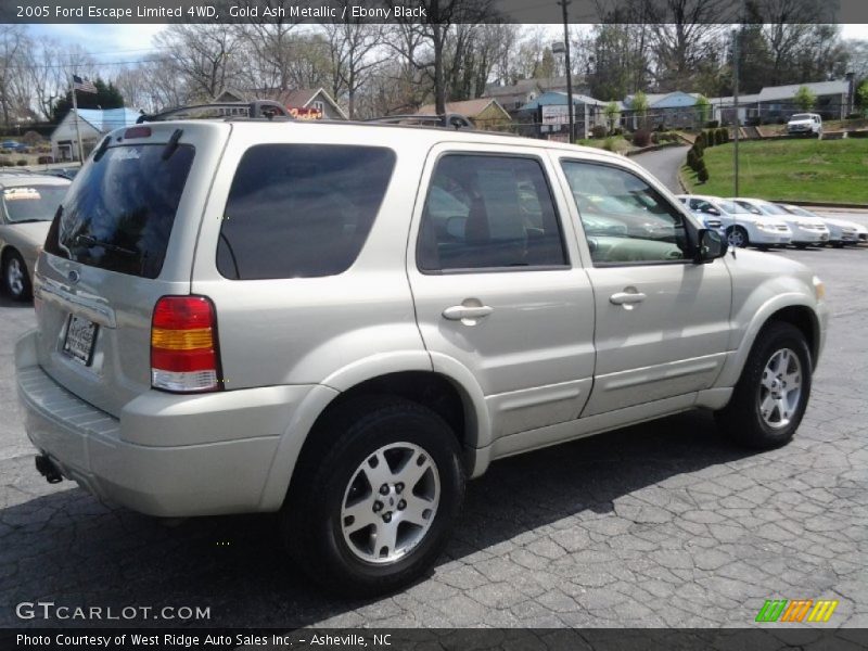 Gold Ash Metallic / Ebony Black 2005 Ford Escape Limited 4WD