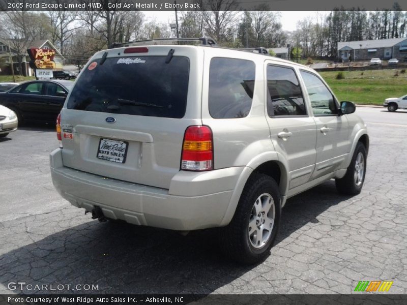 Gold Ash Metallic / Ebony Black 2005 Ford Escape Limited 4WD