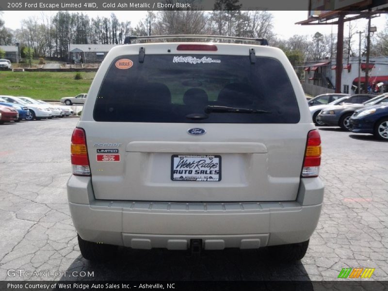 Gold Ash Metallic / Ebony Black 2005 Ford Escape Limited 4WD