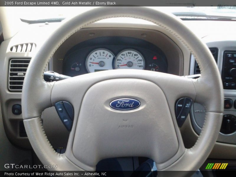 Gold Ash Metallic / Ebony Black 2005 Ford Escape Limited 4WD
