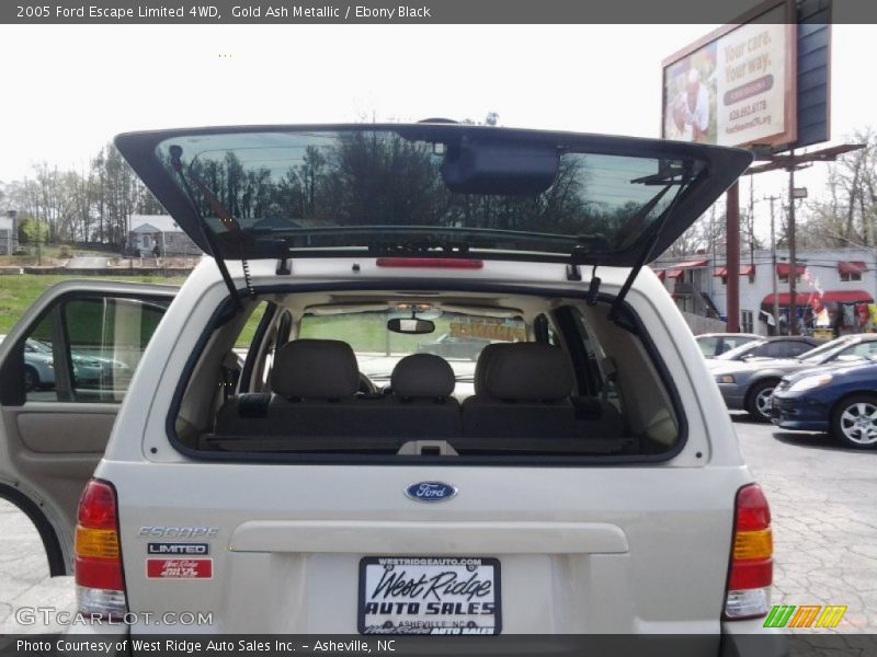 Gold Ash Metallic / Ebony Black 2005 Ford Escape Limited 4WD
