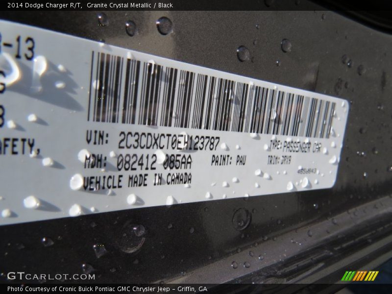 Granite Crystal Metallic / Black 2014 Dodge Charger R/T