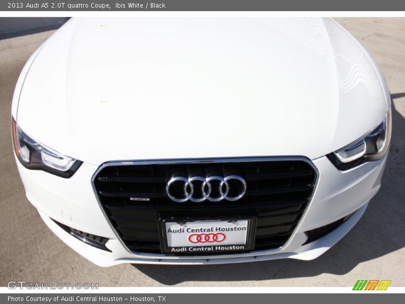 Ibis White / Black 2013 Audi A5 2.0T quattro Coupe
