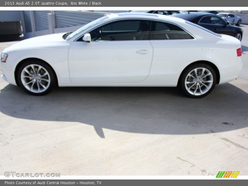 Ibis White / Black 2013 Audi A5 2.0T quattro Coupe