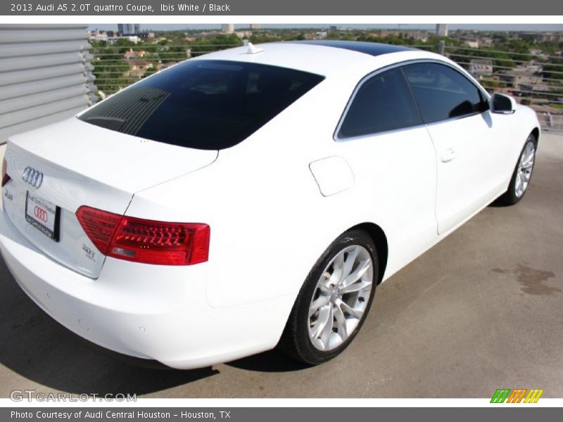 Ibis White / Black 2013 Audi A5 2.0T quattro Coupe