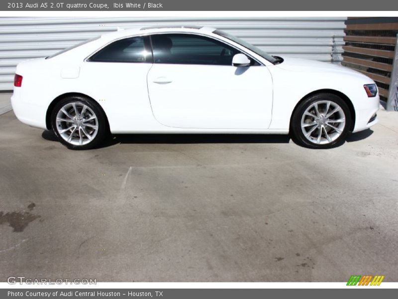 Ibis White / Black 2013 Audi A5 2.0T quattro Coupe