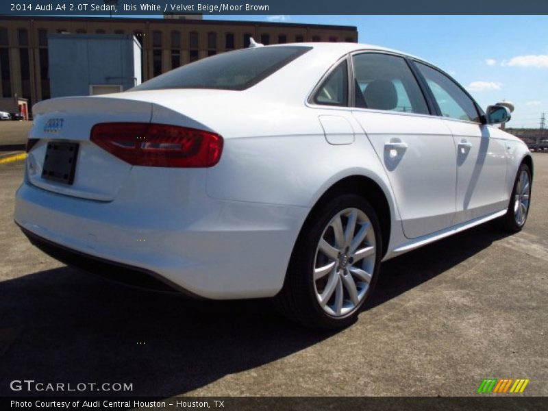 Ibis White / Velvet Beige/Moor Brown 2014 Audi A4 2.0T Sedan