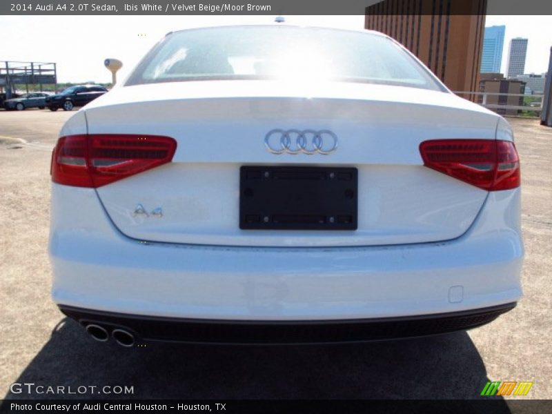 Ibis White / Velvet Beige/Moor Brown 2014 Audi A4 2.0T Sedan