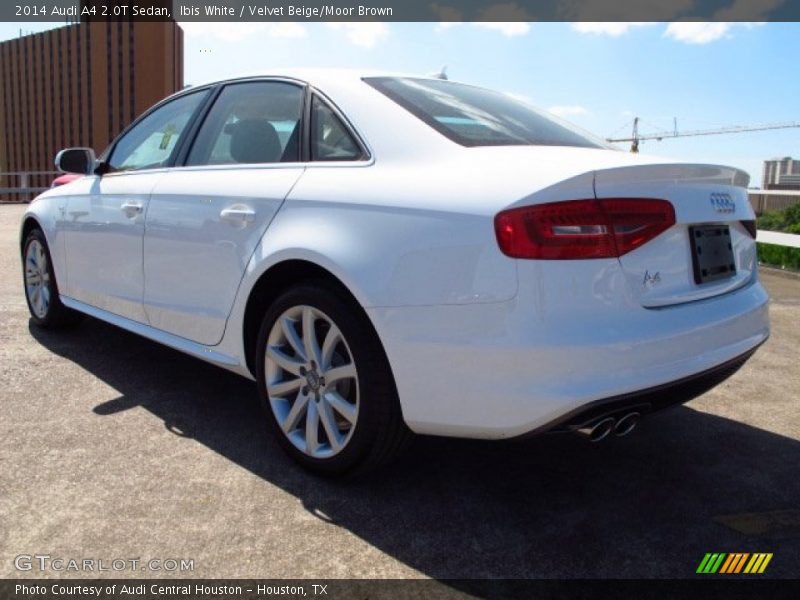 Ibis White / Velvet Beige/Moor Brown 2014 Audi A4 2.0T Sedan