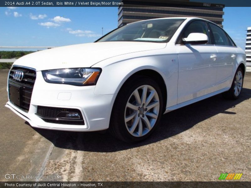 Ibis White / Velvet Beige/Moor Brown 2014 Audi A4 2.0T Sedan