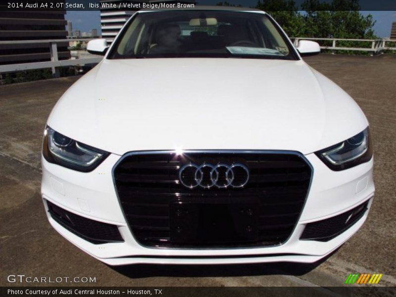 Ibis White / Velvet Beige/Moor Brown 2014 Audi A4 2.0T Sedan