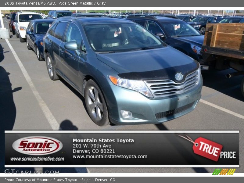 Aloe Green Metallic / Gray 2009 Toyota Venza V6 AWD