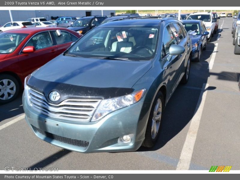 Aloe Green Metallic / Gray 2009 Toyota Venza V6 AWD