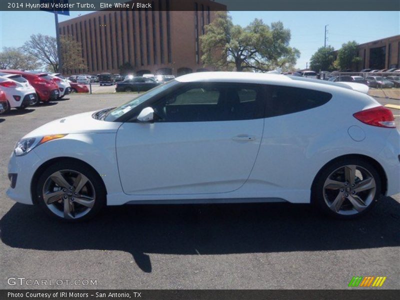 Elite White / Black 2014 Hyundai Veloster Turbo