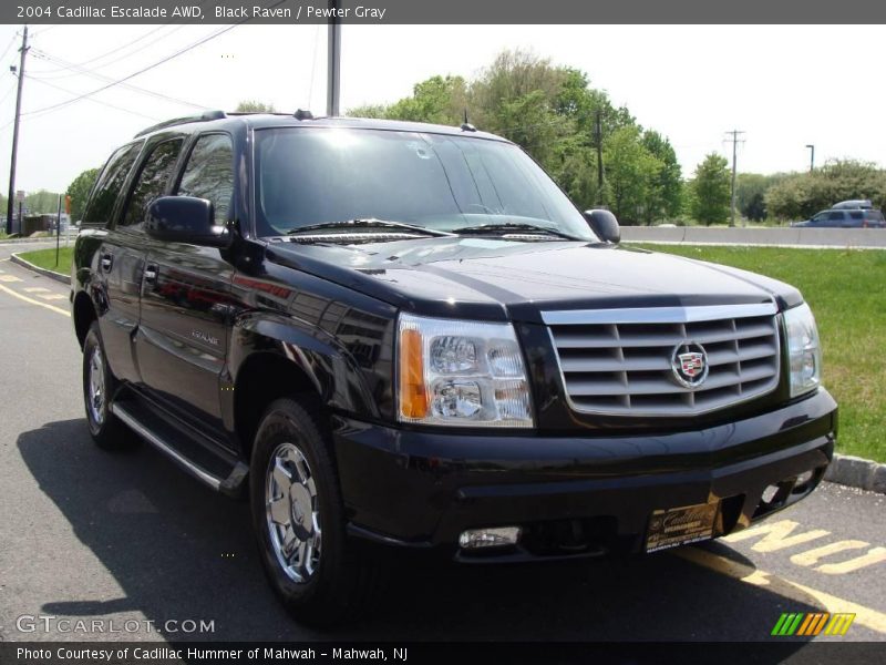Black Raven / Pewter Gray 2004 Cadillac Escalade AWD