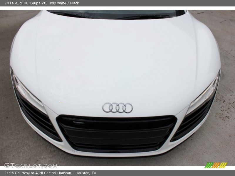 Ibis White / Black 2014 Audi R8 Coupe V8