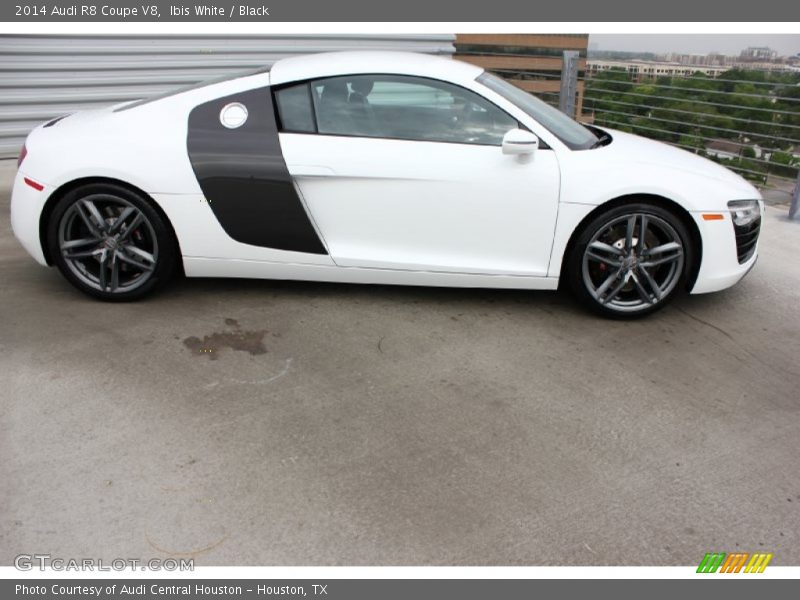 Ibis White / Black 2014 Audi R8 Coupe V8