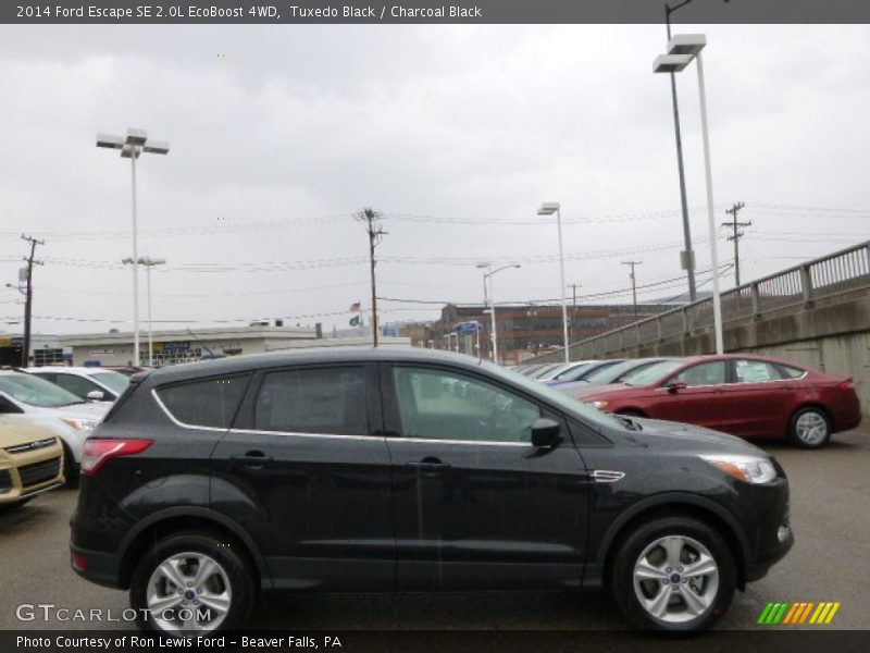Tuxedo Black / Charcoal Black 2014 Ford Escape SE 2.0L EcoBoost 4WD