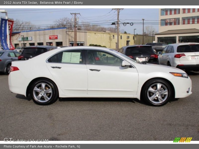 Bellanova White Pearl / Ebony 2012 Acura TSX Sedan