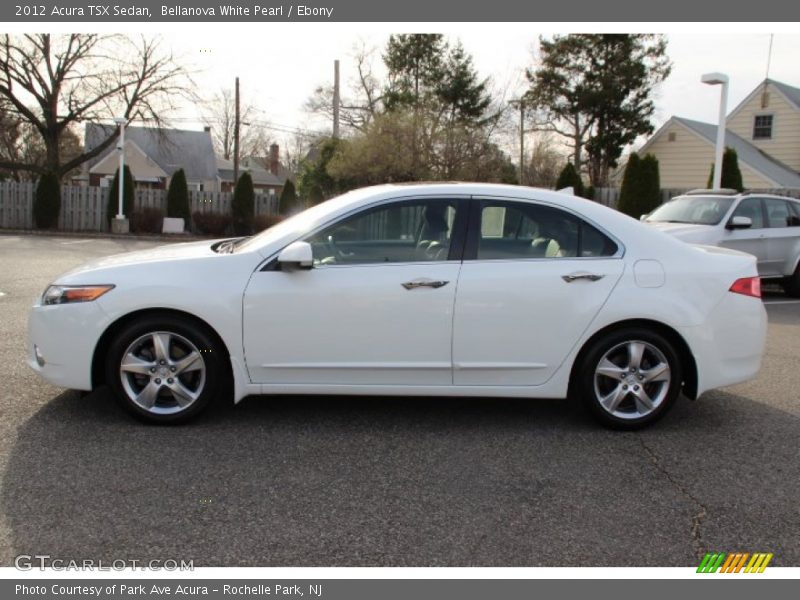 Bellanova White Pearl / Ebony 2012 Acura TSX Sedan