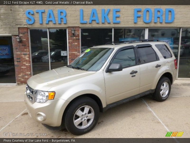 Gold Leaf Metallic / Charcoal Black 2012 Ford Escape XLT 4WD