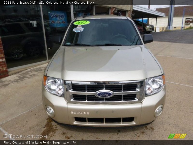 Gold Leaf Metallic / Charcoal Black 2012 Ford Escape XLT 4WD