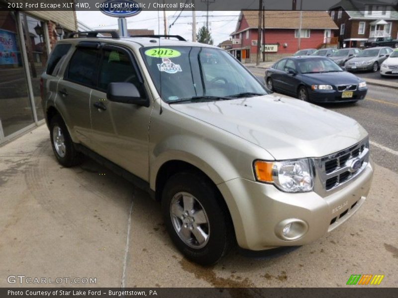 Gold Leaf Metallic / Charcoal Black 2012 Ford Escape XLT 4WD