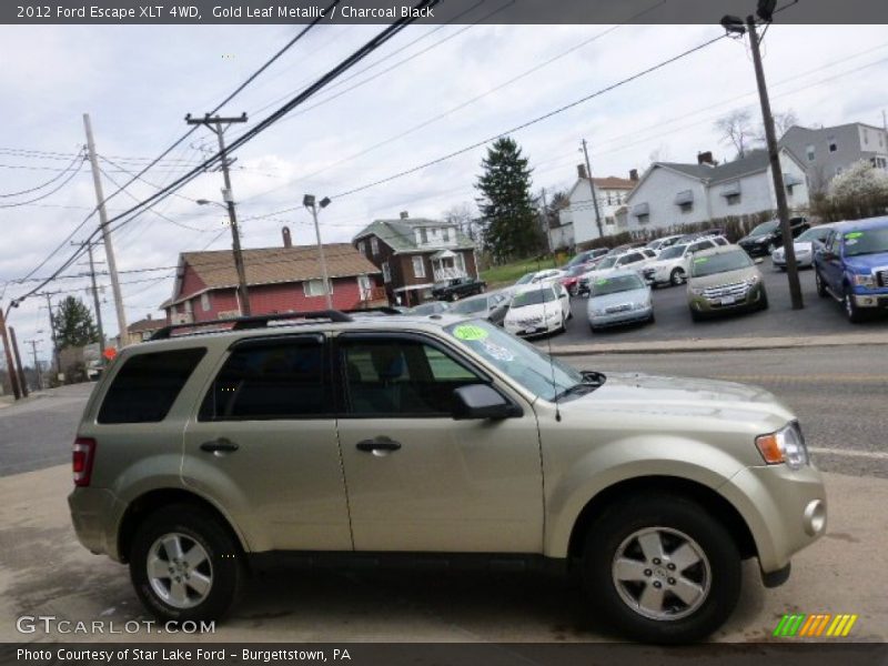 Gold Leaf Metallic / Charcoal Black 2012 Ford Escape XLT 4WD