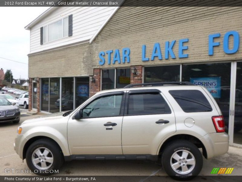 Gold Leaf Metallic / Charcoal Black 2012 Ford Escape XLT 4WD