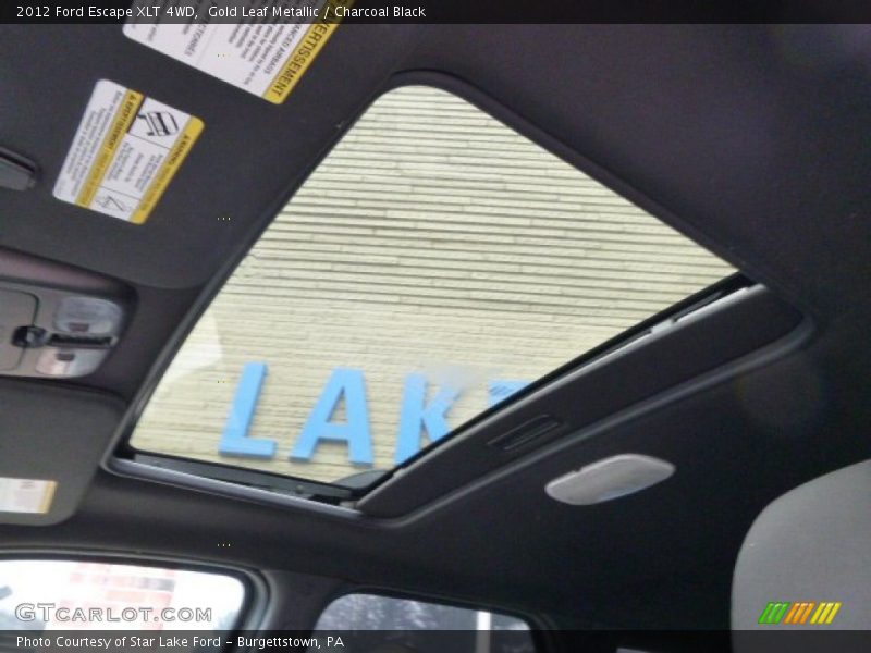 Gold Leaf Metallic / Charcoal Black 2012 Ford Escape XLT 4WD