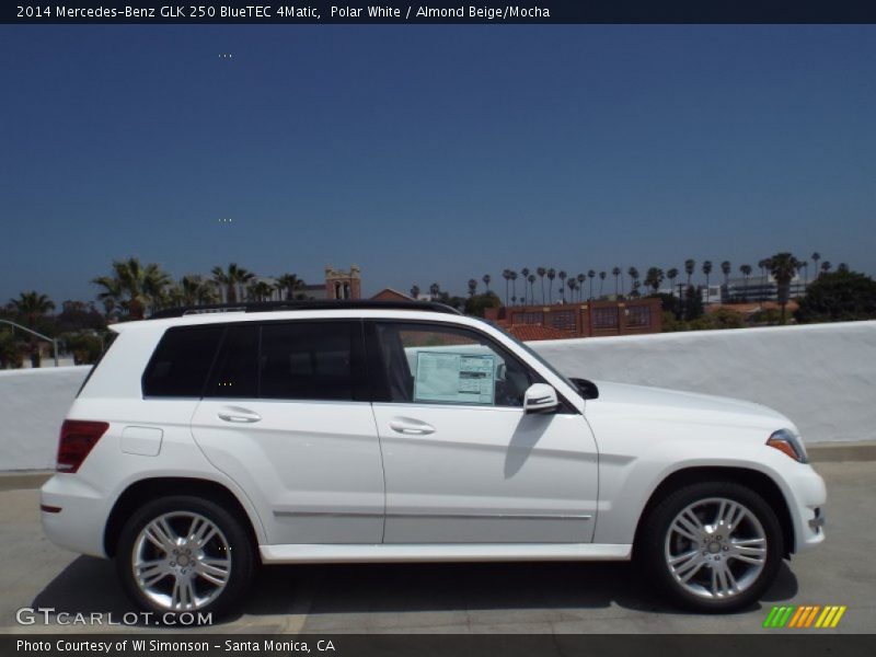 Polar White / Almond Beige/Mocha 2014 Mercedes-Benz GLK 250 BlueTEC 4Matic