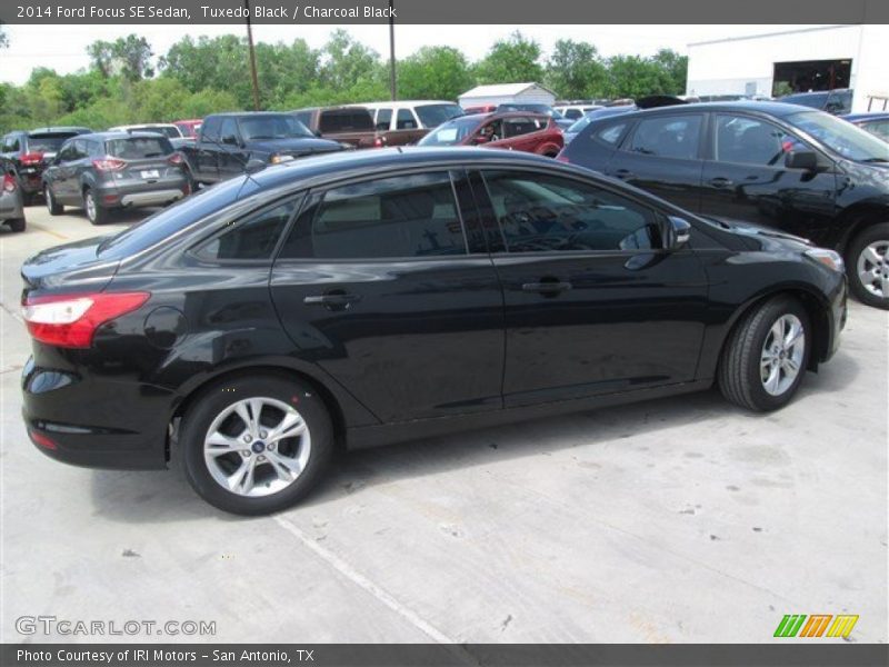 Tuxedo Black / Charcoal Black 2014 Ford Focus SE Sedan