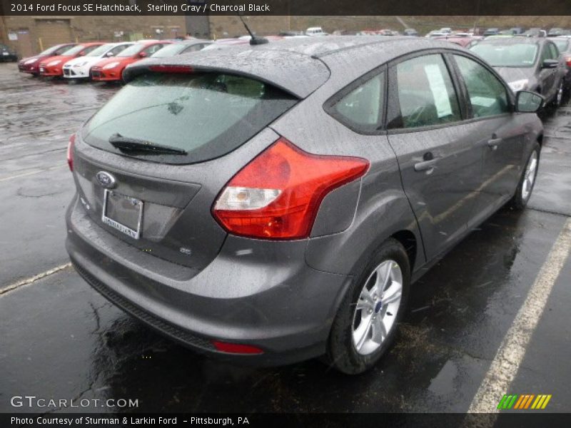 Sterling Gray / Charcoal Black 2014 Ford Focus SE Hatchback