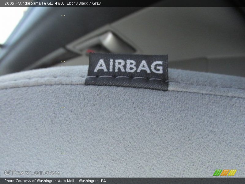 Ebony Black / Gray 2009 Hyundai Santa Fe GLS 4WD