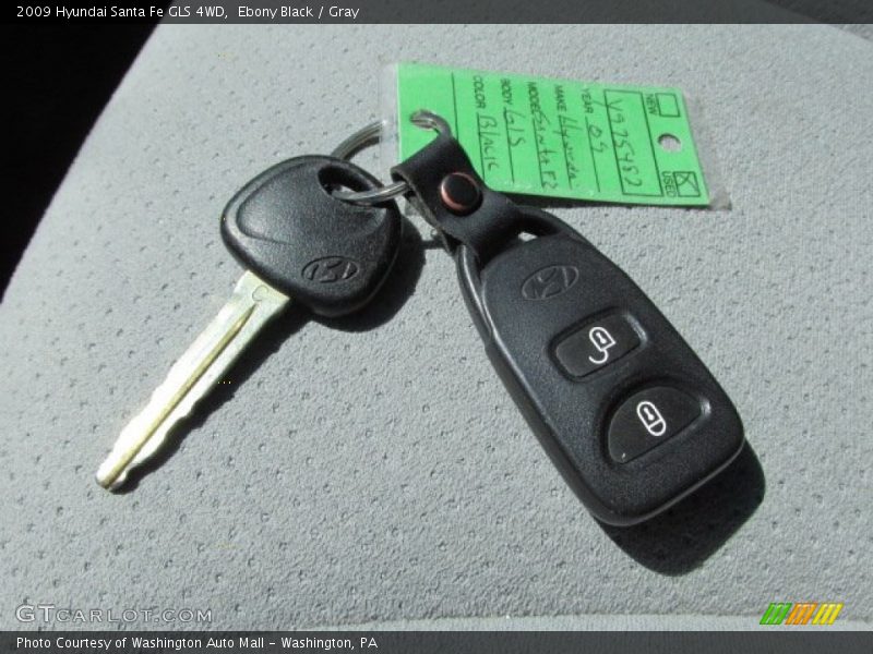 Ebony Black / Gray 2009 Hyundai Santa Fe GLS 4WD