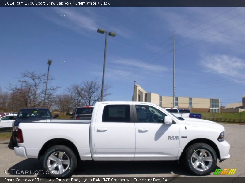 Bright White / Black 2014 Ram 1500 Sport Crew Cab 4x4
