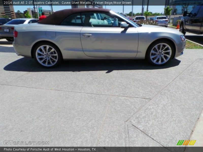 Cuvee Silver Metallic / Velvet Beige/Moor Brown 2014 Audi A5 2.0T quattro Cabriolet