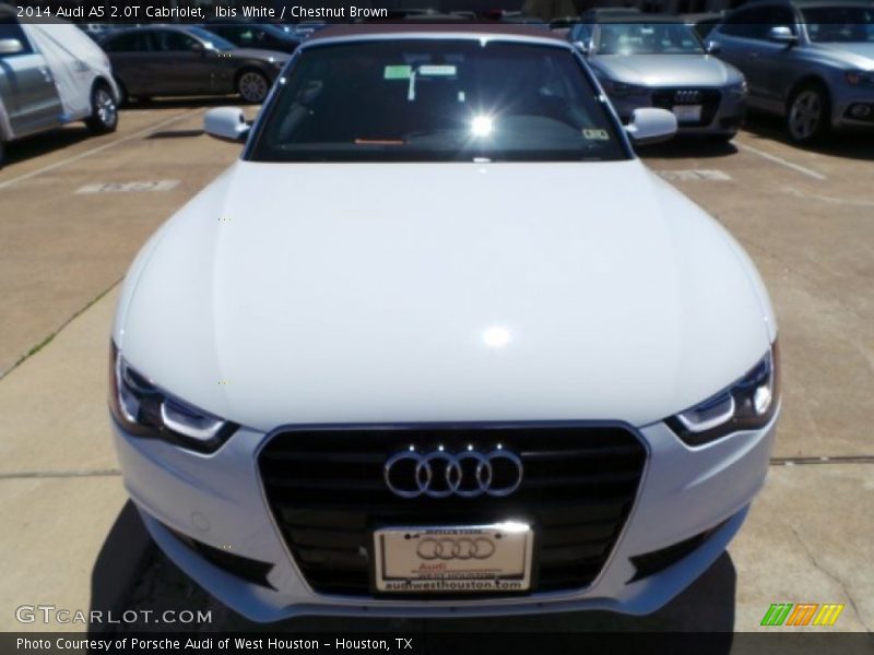Ibis White / Chestnut Brown 2014 Audi A5 2.0T Cabriolet