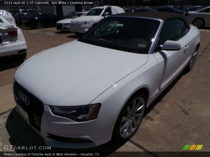 Ibis White / Chestnut Brown 2014 Audi A5 2.0T Cabriolet